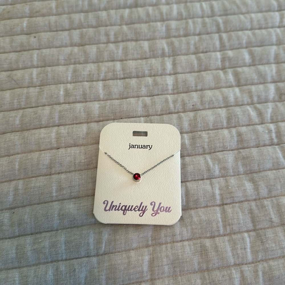 NWT Uniquely you January Necklace with an adjustable table chain of 16-20”